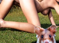 Hamster-Golf - porn game
